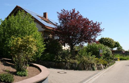 Ranschbach Apartment | Ferienwohnung Pimer