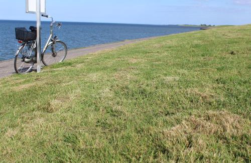 Dornum Apartment | Ferienwohnung Rabenstein