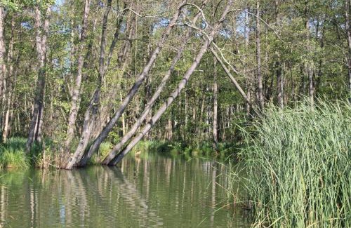 Warthe Apartment | Ferienwohnung Strey