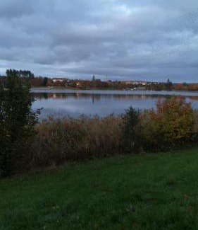 Losheim am See Apartment | Ferienwohnung Susanne, Losheim am See