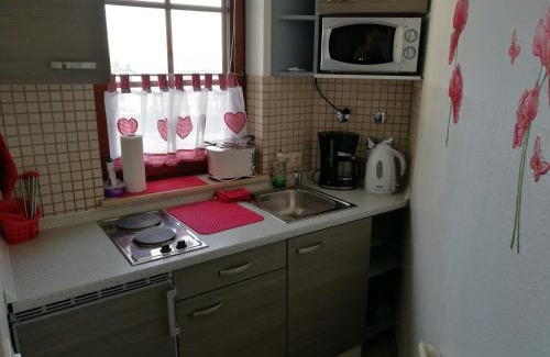 Bad Sachsa Apartment | Ferienwohnung Sweety Haus Sachsensteinblick
