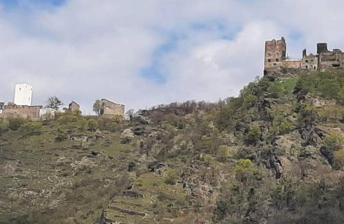 Bad Salzig Apartment | Ferienwohnung Troja