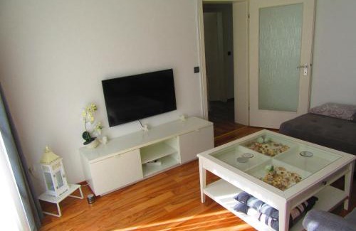 Bad Salzig Apartment | Ferienwohnung Troja