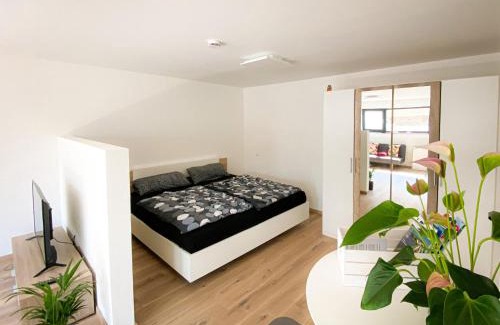 Gengenbach Apartment | Ferienwohnung Vergissmeinnicht