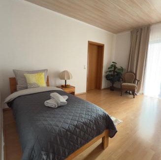 Nonnweiler Apartment | Ferienwohnung Wood