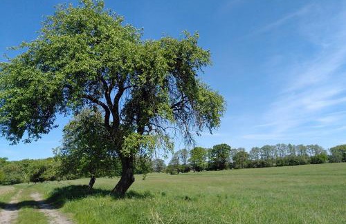 Rubkow Apartment | Ferienwohnung zur Pferdekoppel