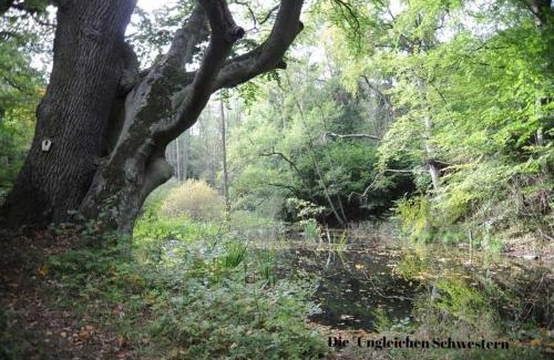 Muritz Apartment | Ferienwohnungen "Christelhof"