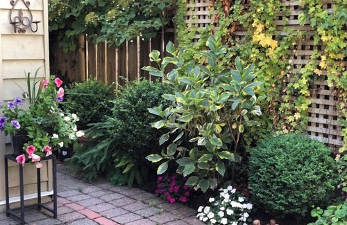 Horseshoe Bay Apartment | Ferry Walk House, Family & Pet Friendly