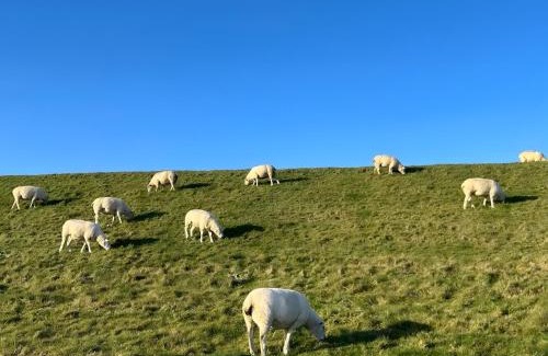 Neßmersiel Apartment | Fewo Elsternest