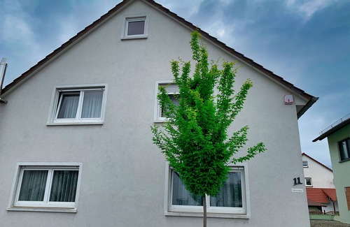 Weinheim Condo | FeWo in the beautiful Weinheim with proximity to Heidelberg, the Odenwald and MIRAMAR u. V. M.