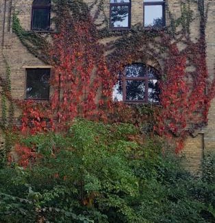 Lutherstadt Wittenberg Apartment | Fewo "Mohnblume" am Stadtpark