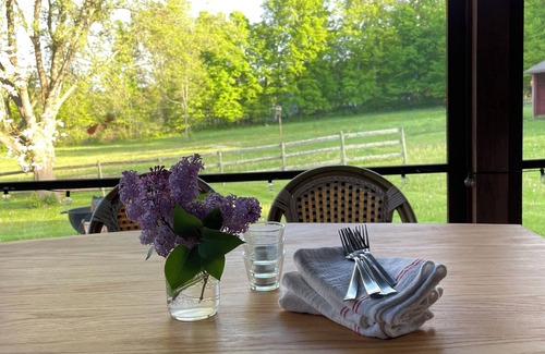 Canaan House | Fickle Fox Farm. Daffodils are popping their heads up, summer is coming!