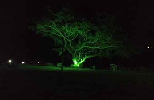 Praia Grande Ski Chalet | Figueira do Rio do Boi Chalé Ametista