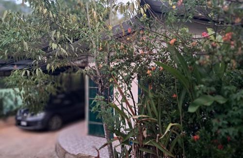 Palma Apartment | Finca Bosques de Osa