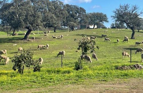 Membrio Villa | Finca Cerro Verde