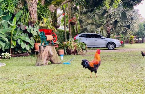 Montenegro Hotel | FINCA HOTEL EL LAUREL - Parque del Café