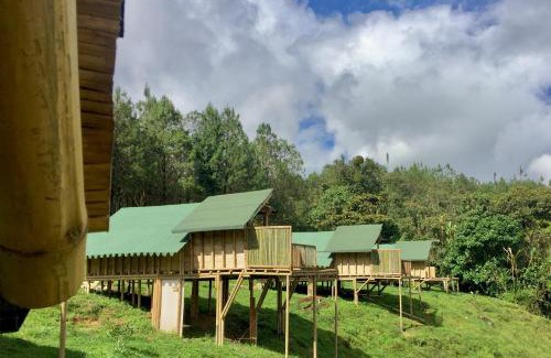 Jerico Other | Finca la Esmeralda I Hass Glamping Jericó