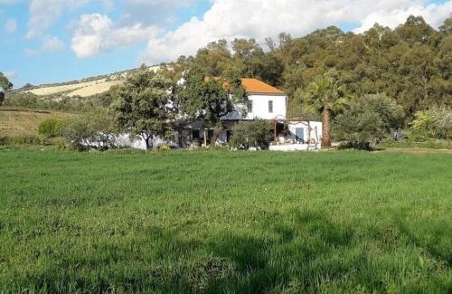 Olvera House | FINCA LOS MELEROS Andalucian farmhouse set in its own land with beautiful terraces, garden & pool.