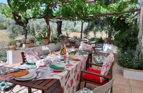 Olvera House | FINCA LOS MELEROS Andalucian farmhouse set in its own land with beautiful terraces, garden & pool.