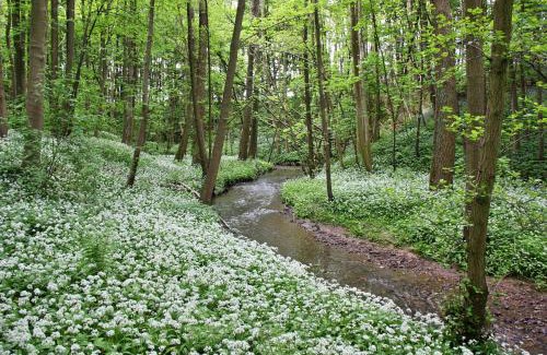 Great Broughton House | Finest Retreats - Ingleby Manor - Manor Cottage