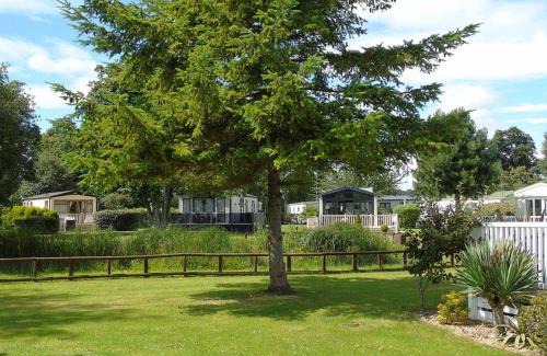 Chester Resort | Fir Trees