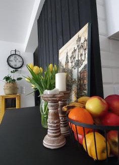 Ustrzyki Dolne Apartment | FireSalamander Apartament z prywatną sauną - wyjątkowy i romantyczny, idealny na specjalne okazje
