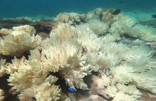 Kikai Island House | Firstclass rental accommodation in a singlestor /Oshimagun Kagoshima