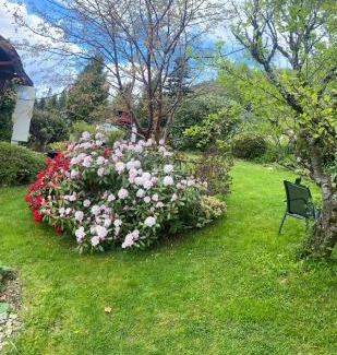 Strand House | Fjord Home Near Preikestolen