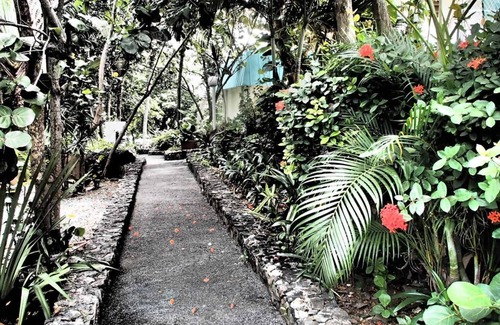 Rosendal Resort | Flamboyan on the Bay Resort and Villas