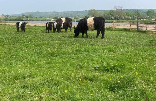 Stoke Bardolph Apartment | Flat 1, Coneygre Farm