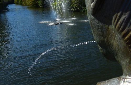 Alf Apartment | Flat in Alf with balcony