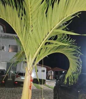 Praia de Jacuma Apartment | Flat Mar doce lar