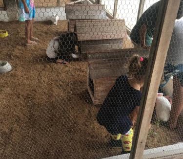 Novo Gravata Apartment | Flat na Fazenda Monte Castelo Gravatá