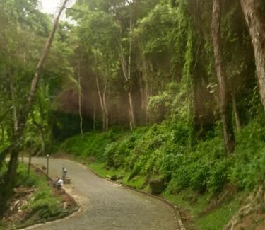 Verolme Apartment | Flat no Portogalo