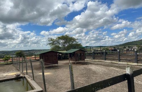 Boa Vista Apartment | Flat pra sossegar e curtir