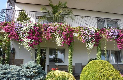 Schoneberg Apartment | Flat with terrace, garden and barbecue