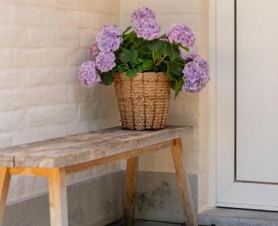 Sint-Martens-Latem House | Fleur de Marguerite