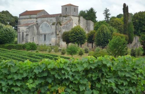 Bouteville House | Fleurs de vigne, gîte charentais au grand coeur