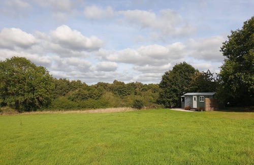 Marsham Cabin | Florence, nestled in a peaceful farm in Marsham, North Norfolk