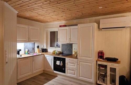 Rauland House | Flott hytte i Elgtrakket 9, 3864 Rauland Skisenter - Holtardalen