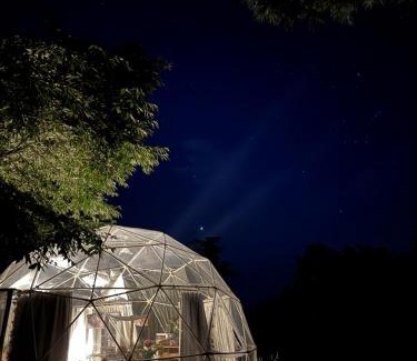 Tamahere Other | Flowerhaven - glamping dome