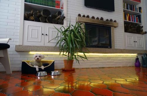 San Juan Apartment | FocoLare