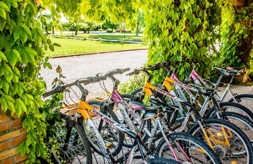 Marano Lagunare Apartment | Folaghe 2, apartment with view on the grove