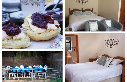 Holsworthy Bed & Breakfast | Forda Farm Bed & Breakfast