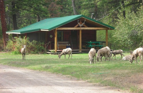 Clinton Cabin | Forest Service Type Cabins 30 Miles outside Missoula-