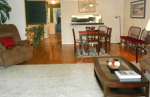 Hot Springs Village House | Forest View Home With Wifi and BBQ on the Deck - Unit 449 by Redawning