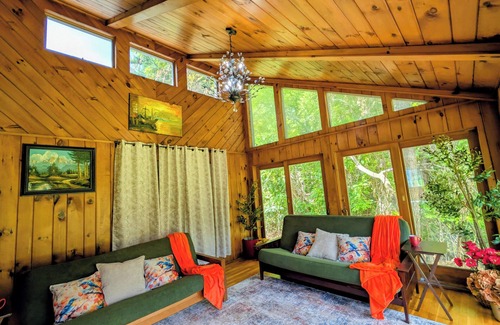 Springwater House | Forestview Lodge: Large 4BR Ranch/Peaceful Nature Stay/Sleeps 12