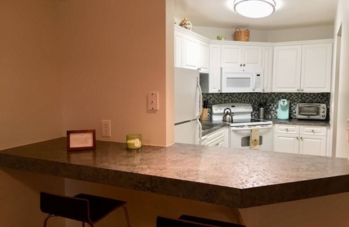 Tierra Verde Condo | Fort DeSoto Beach - Modern 2nd floor One Bedroom at the Holiday Island Complex