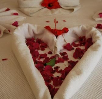 Dalyan City Center Hotel | Four Seasons Apart Hotel