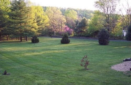 Luray Cabin | Fox Den Cabin-Secluded Mountain Getaway Near Shenandoah National Park